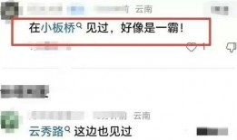 老司机免费爆料黑料视频在线播放,黑料视频在线播放全解析